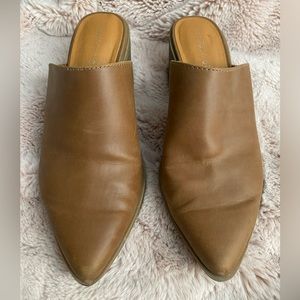 Madden girl heeled mule- pointed toe